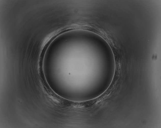 X0000090630340200707171452
