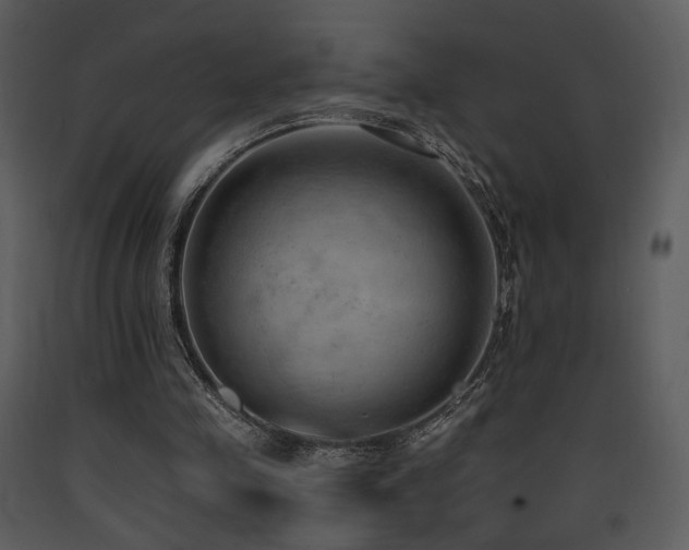 X0000090630341200707171452
