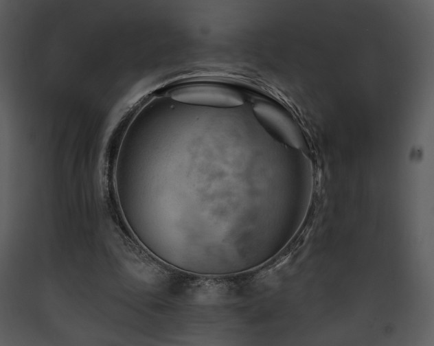 X0000090630343200707171452