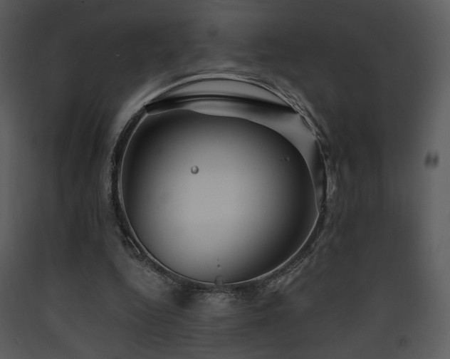 X0000090630344200707171452