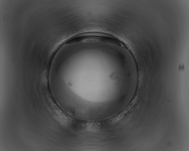 X0000090630345200707171452