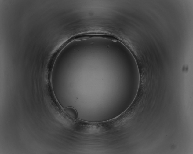 X0000090630347200707171452