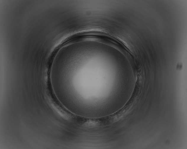X0000090630350200707171452