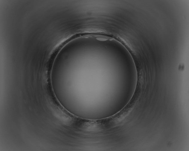 X0000090630351200707171452