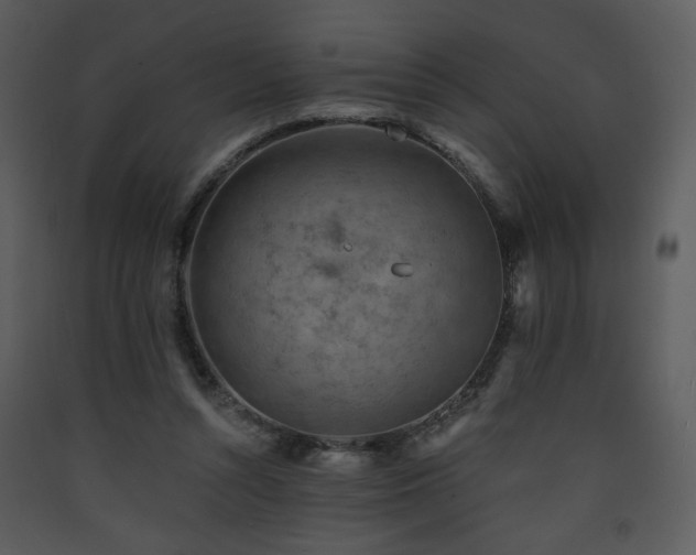 X0000090630352200707171452