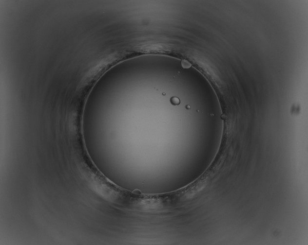 X0000090630353200707171452