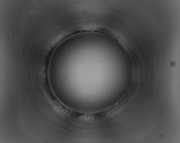 X0000090630354200707171452