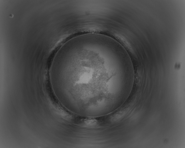 X0000090630355200707171452
