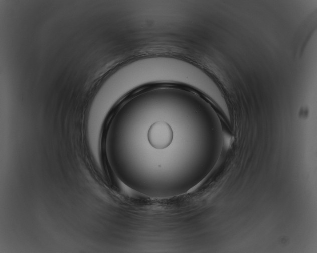 X0000090630356200707171452