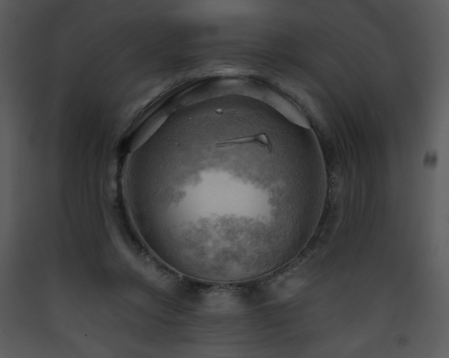 X0000090630358200707171452