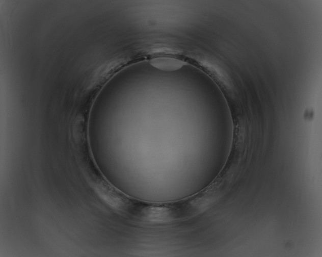 X0000090630361200707171453