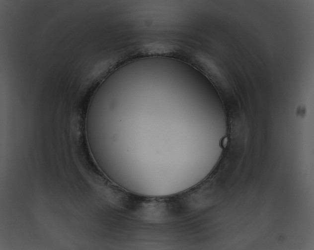 X0000090630362200707171453