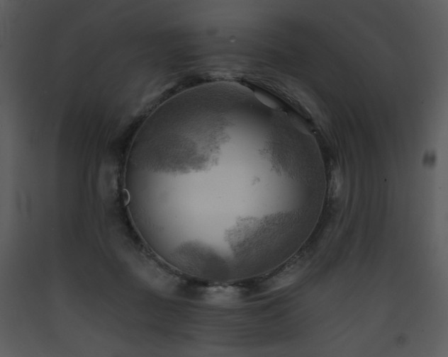 X0000090630363200707171453