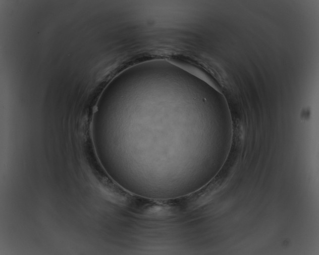 X0000090630364200707171453