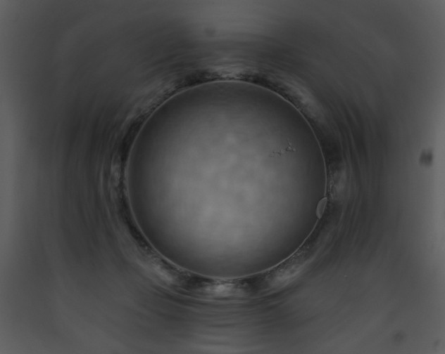 X0000090630365200707171453