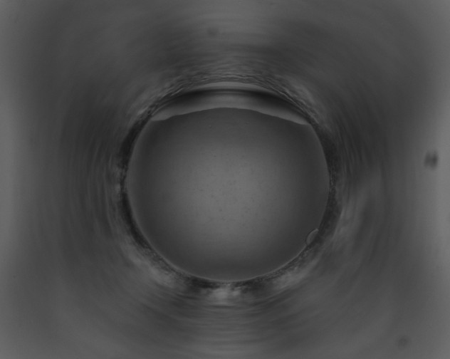 X0000090630366200707171453