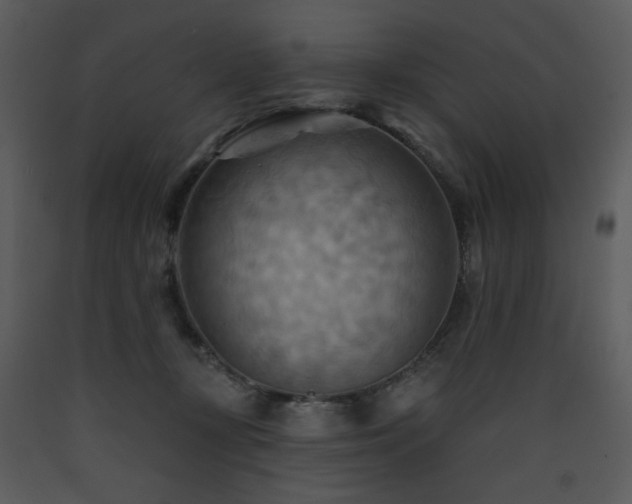 X0000090630367200707171453