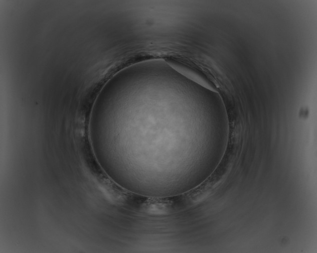 X0000090630368200707171453