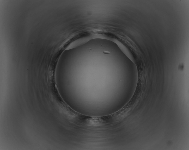 X0000090630372200707171453