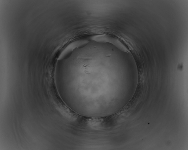 X0000090630373200707171453