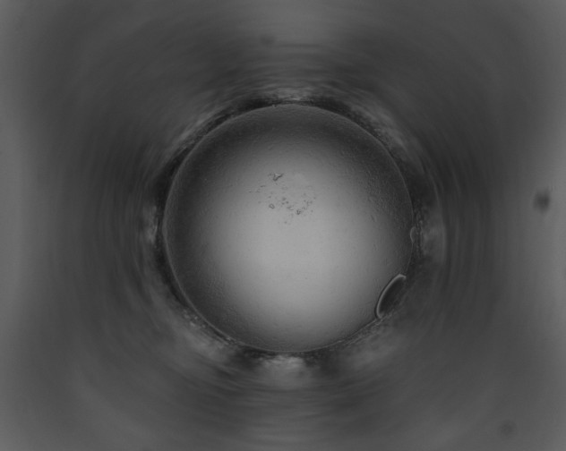 X0000090630374200707171453