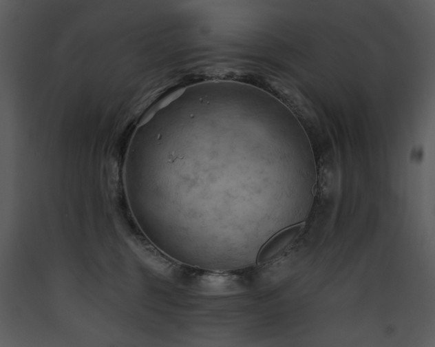 X0000090630375200707171453