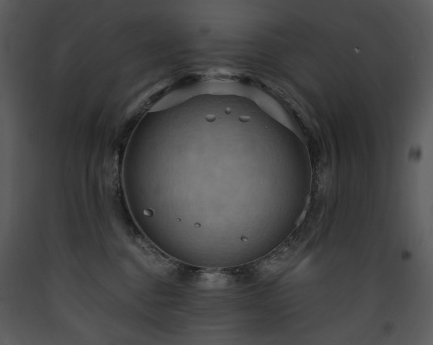 X0000090630376200707171453