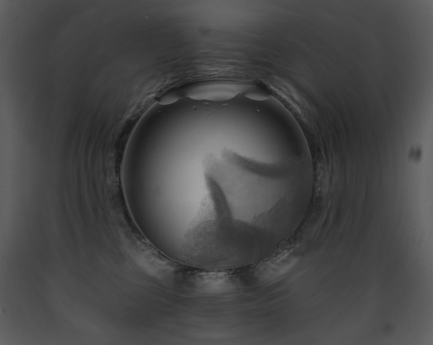 X0000090630377200707171453