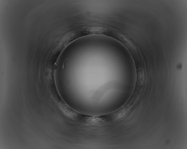 X0000090630379200707171453