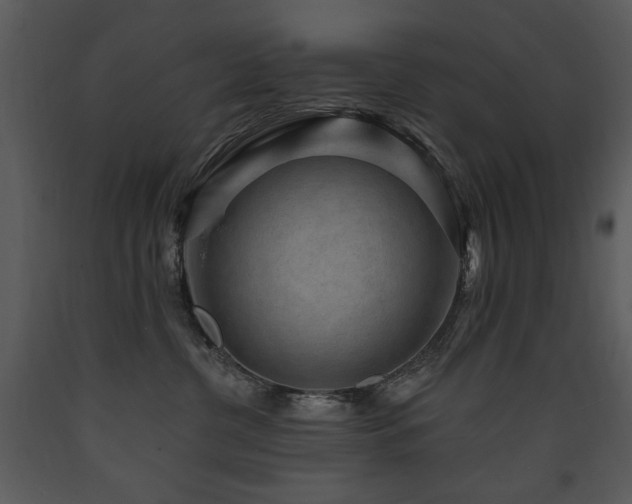 X0000090630380200707171453