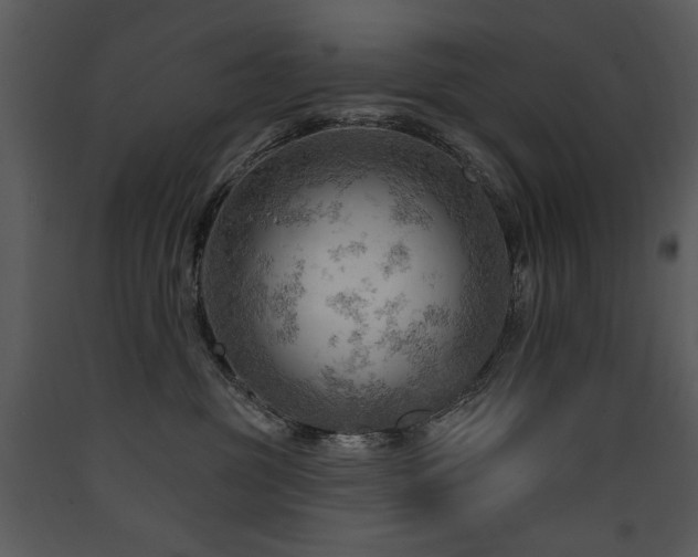 X0000090630381200707171453