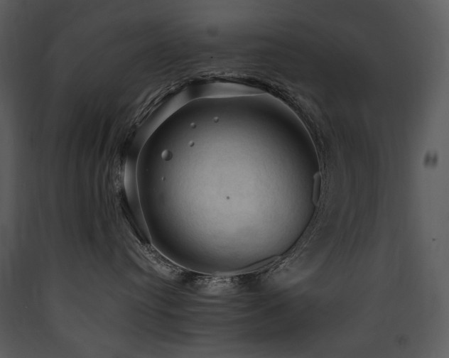 X0000090630384200707171453