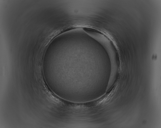 X0000090630385200707171452