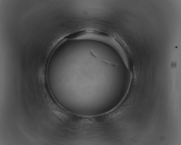 X0000090630386200707171452