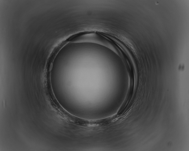 X0000090630388200707171452