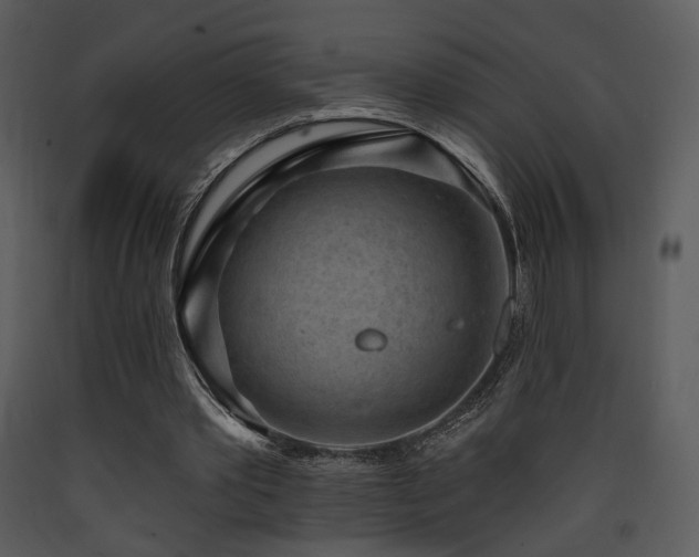 X0000090630389200707171452