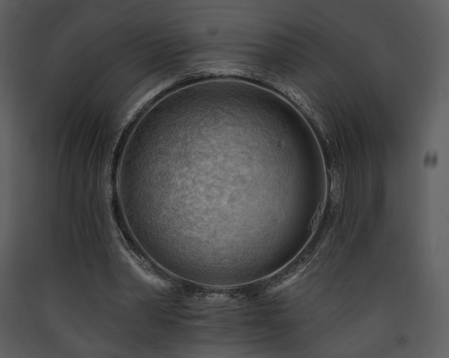 X0000090630390200707171452