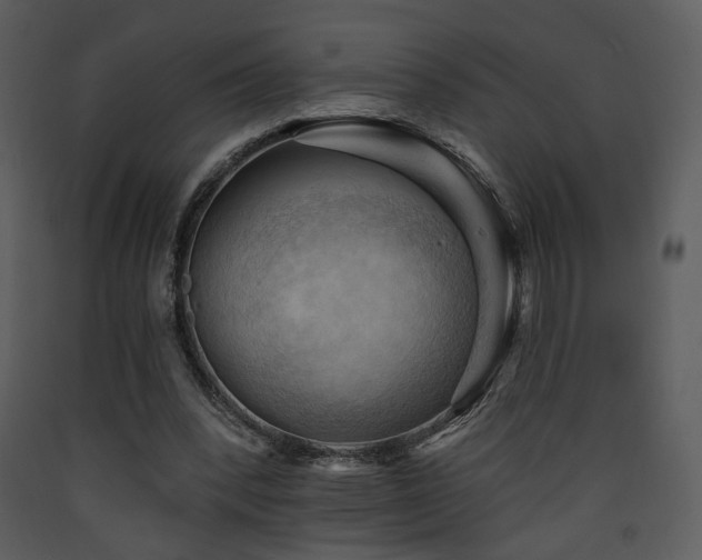 X0000090630392200707171452
