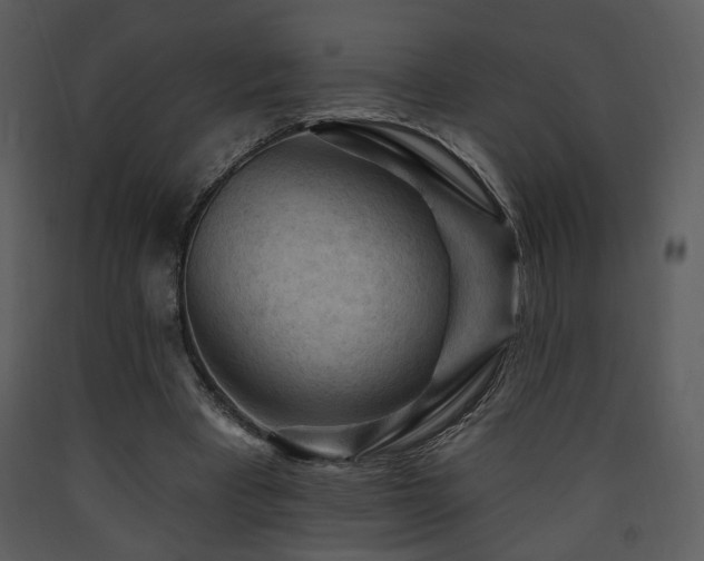 X0000090630393200707171452