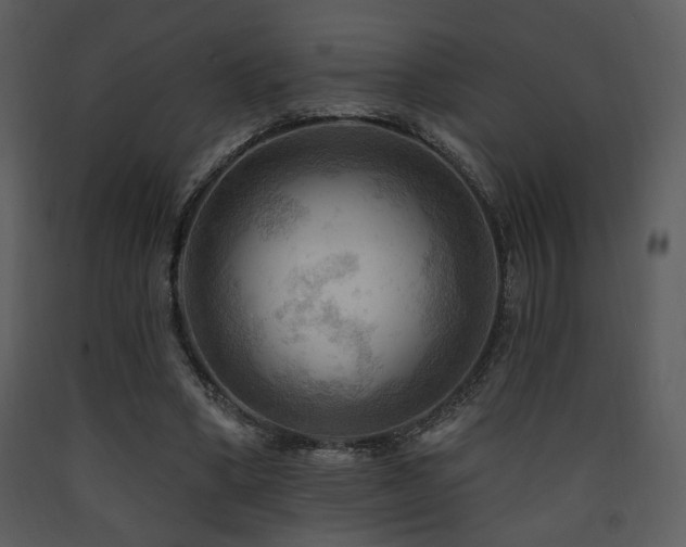 X0000090630394200707171452