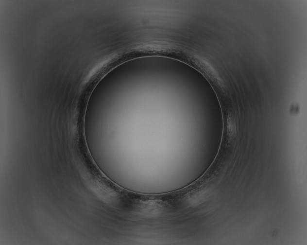 X0000090630396200707171452