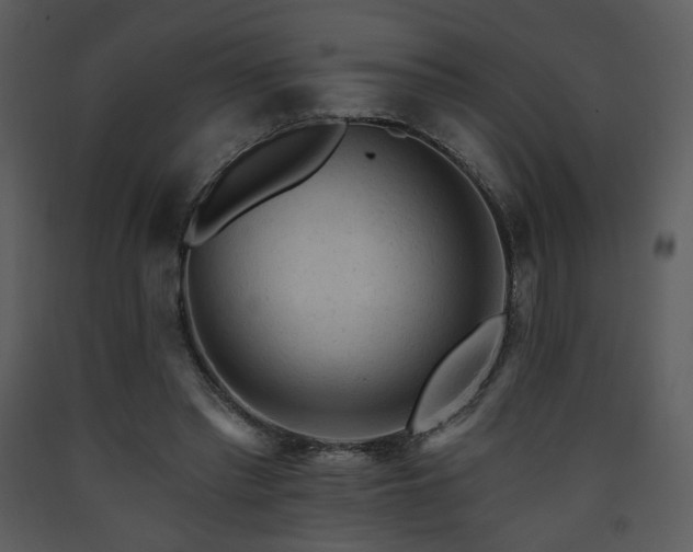 X0000090630397200707171452