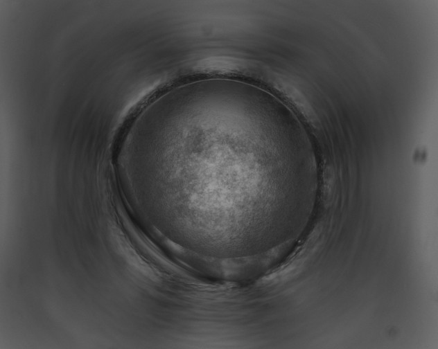 X0000090630399200707171452