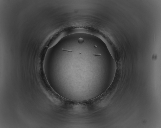 X0000090630400200707171452
