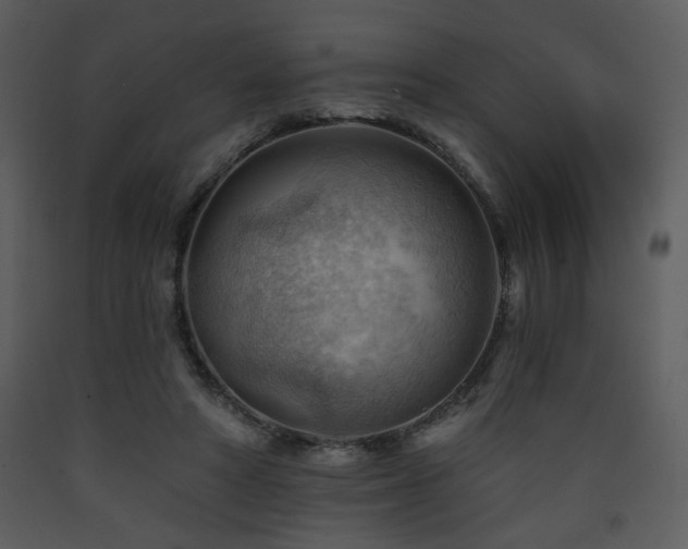 X0000090630402200707171452