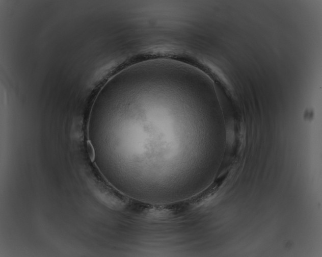 X0000090630403200707171452