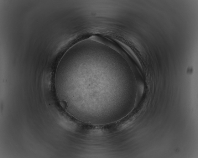X0000090630404200707171452