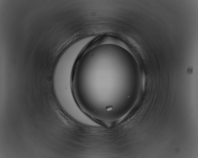 X0000090630405200707171452