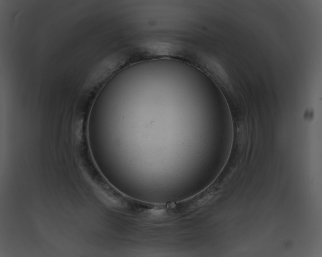 X0000090630406200707171452