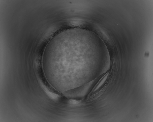 X0000090630408200707171452
